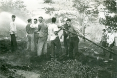 Brush-fire2