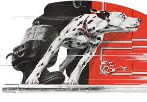 Dalmation Tee Shirt